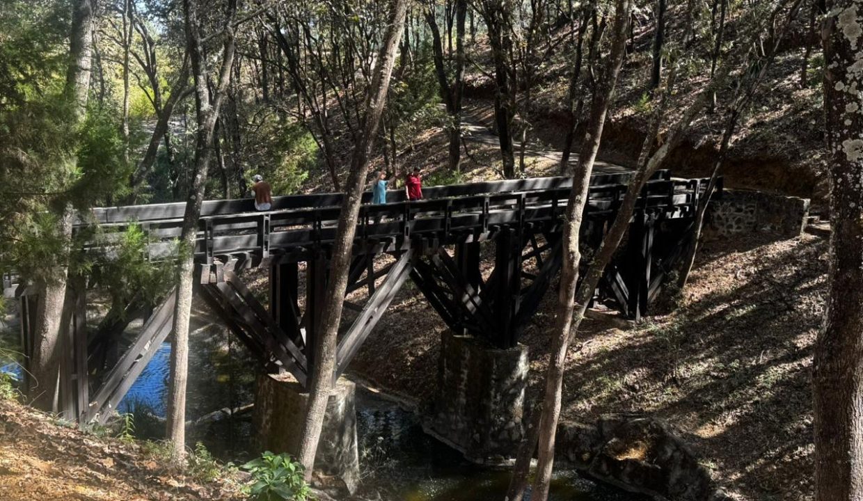 WhatsApp Image 2026-02-18 at 5.42.24 PM (5)