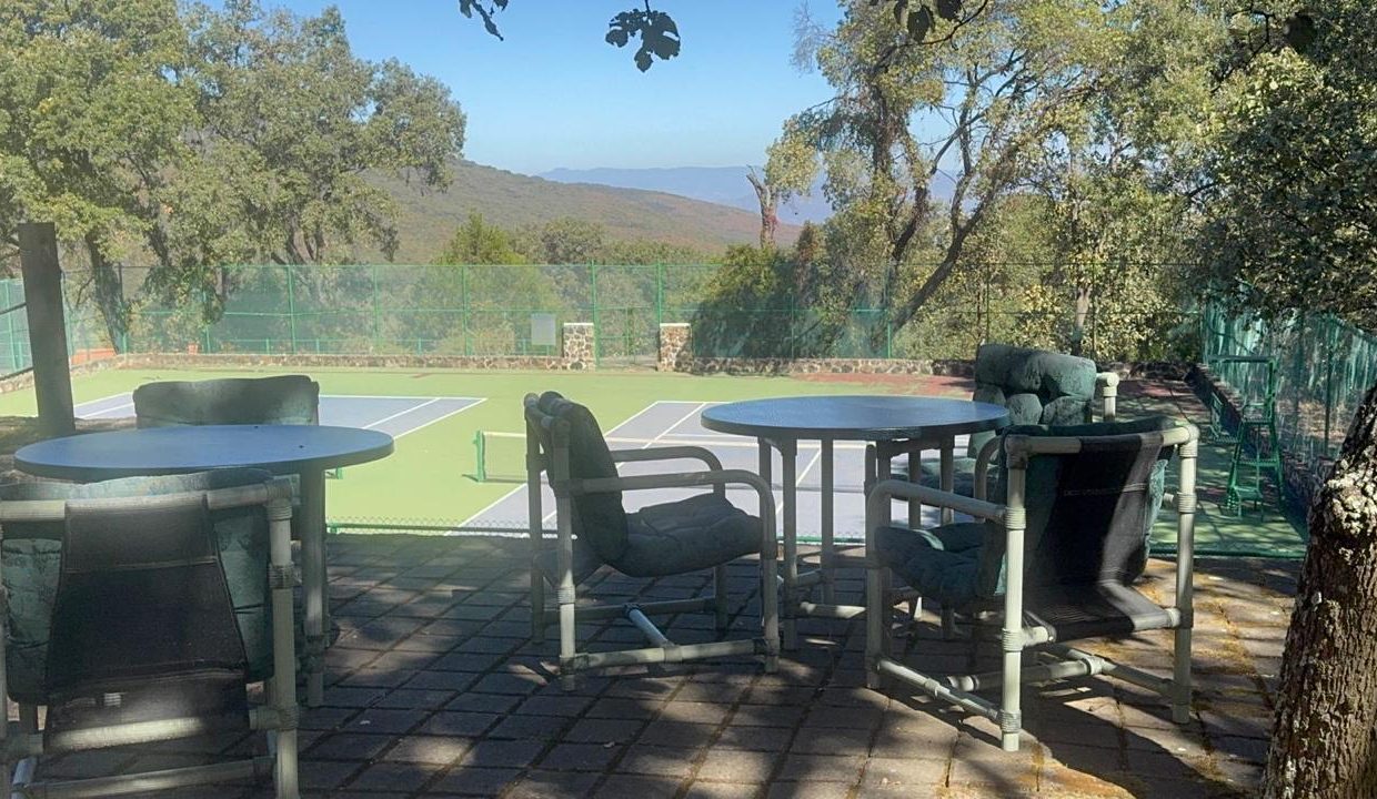 WhatsApp Image 2026-02-18 at 5.42.25 PM (1)