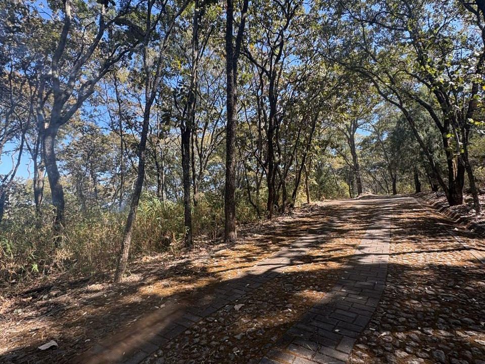 WhatsApp Image 2026-02-18 at 5.42.25 PM