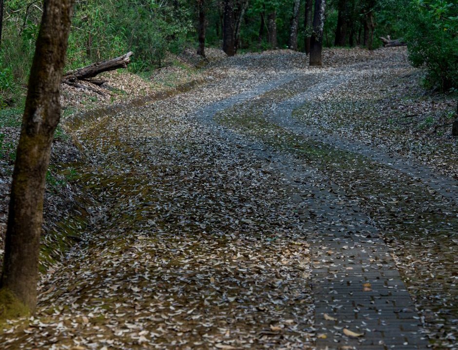 reserva de los encinos terrenos alta plusvalia21