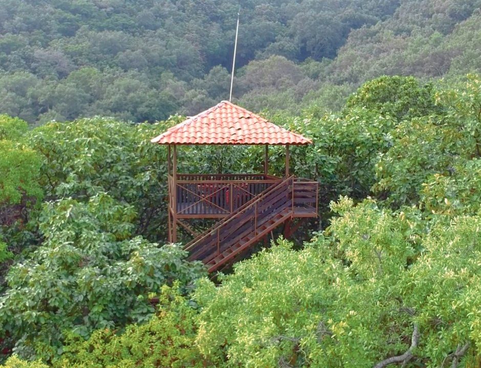 reserva de los encinos terrenos alta plusvalia23